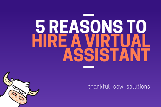 5 Reasons To Hire A Virtual Assistant